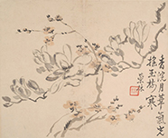  汪士慎 花卉冊頁