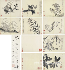 金農(nóng)十二開《花果冊》