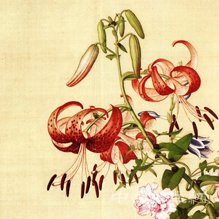 郎世寧花鳥作品賞析（二）