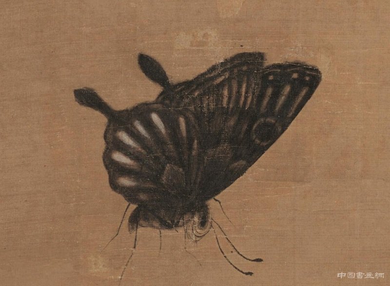 《秋花蛺蝶圖》