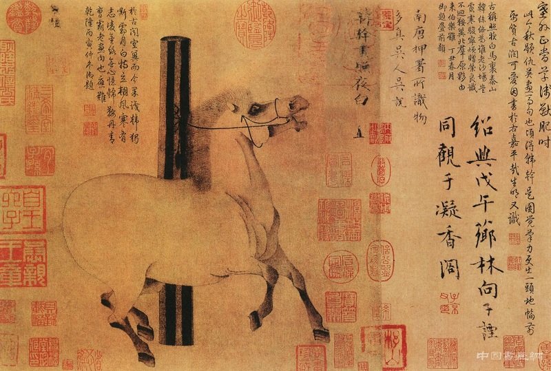 唐玄宗的“汗血馬”——《夜照白圖》