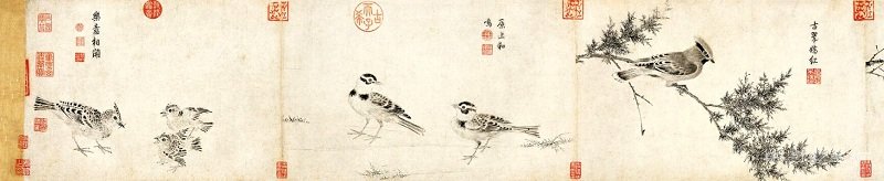 宋徽宗寫生花鳥畫典范——《寫生珍禽圖卷》