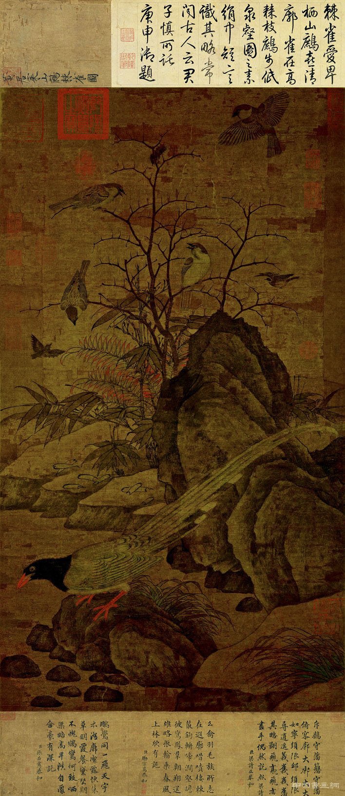 《山鷓棘雀圖》