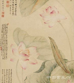 唐炗惲壽平紅蓮綠藻圖軸