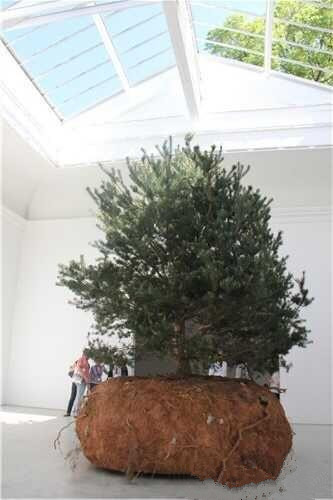 第56屆威尼斯雙年展國(guó)家館合集:全景下的藝術(shù)夢(mèng)幻世界