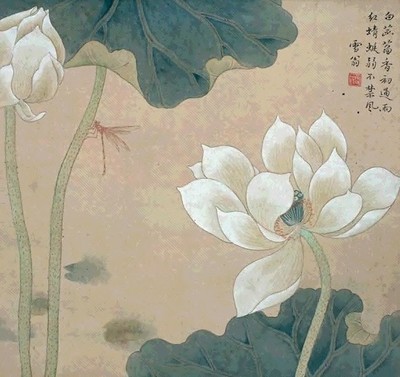 陳之佛 荷花蜻蜓