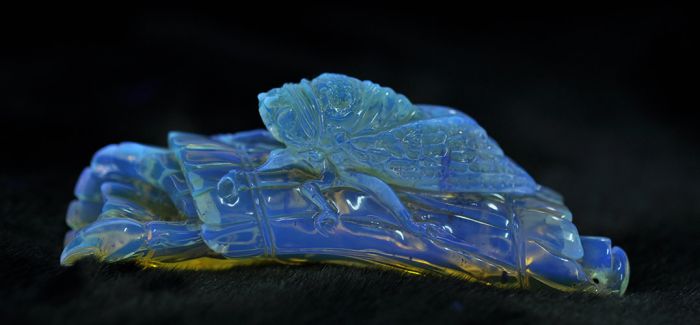 分清琥珀產(chǎn)地 讓收藏更有價(jià)值