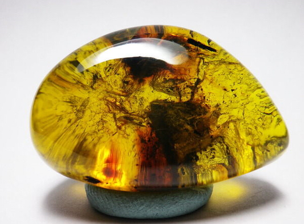 分清琥珀產(chǎn)地 讓收藏更有價(jià)值