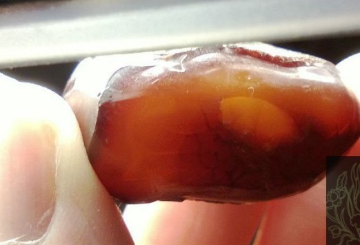 分清琥珀產(chǎn)地 讓收藏更有價(jià)值