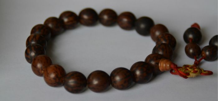 分清琥珀產(chǎn)地 讓收藏更有價(jià)值