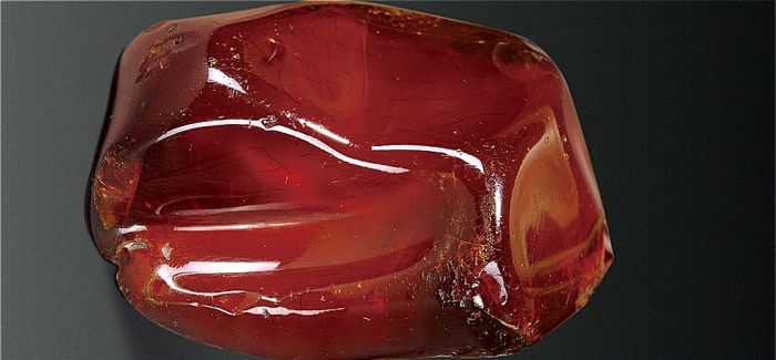 分清琥珀產(chǎn)地 讓收藏更有價(jià)值