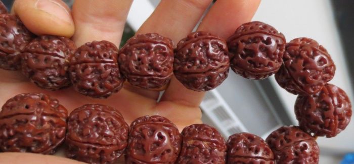 分清琥珀產(chǎn)地 讓收藏更有價(jià)值