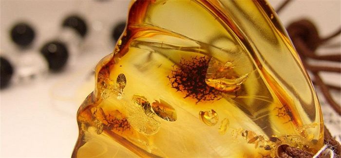 分清琥珀產(chǎn)地 讓收藏更有價(jià)值
