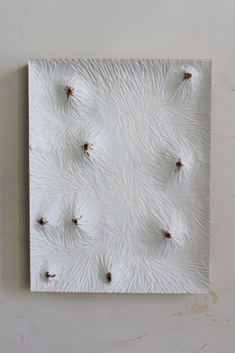 三又三分之一:尚揚×梁紹基×徐冰”展