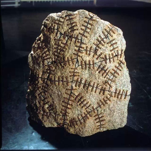 隋建國 盲人摸像