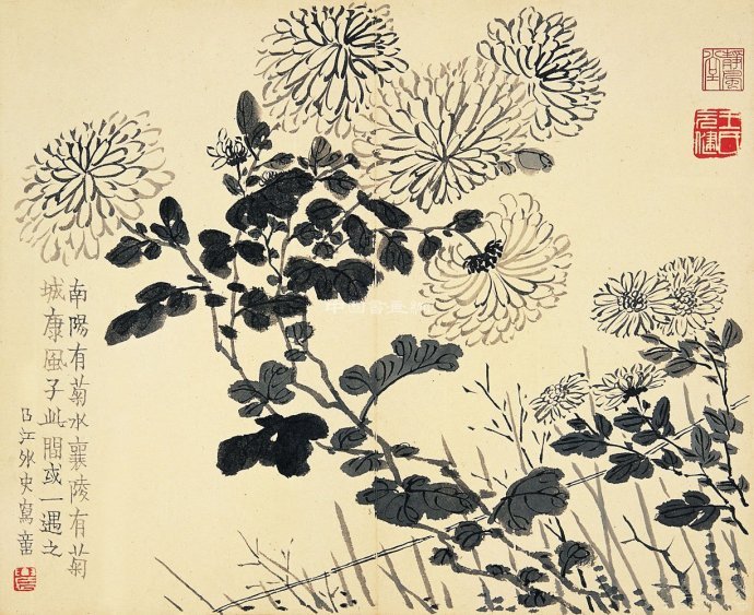 金農十二開《花果冊》