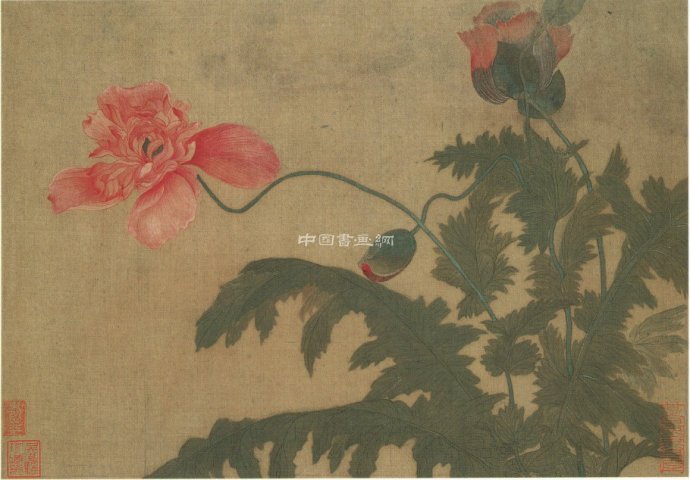 清 惲壽平花鳥作品賞析(一)