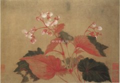 清 惲壽平花鳥作品賞析（二）