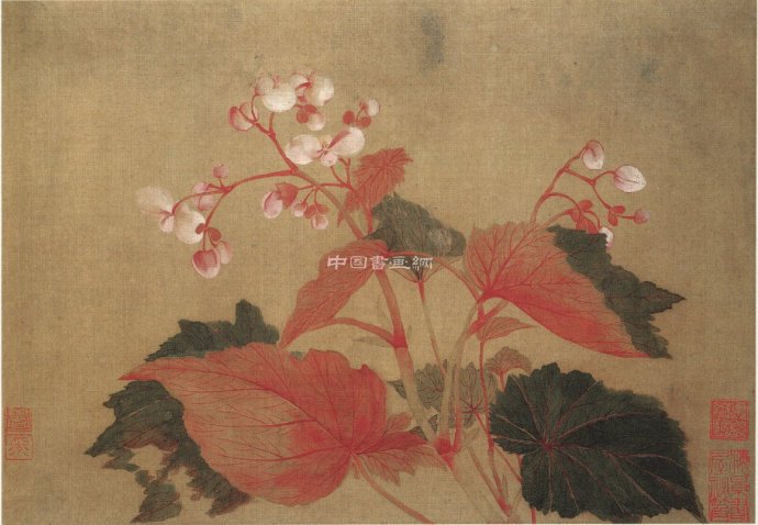 清 惲壽平花鳥作品賞析(二)