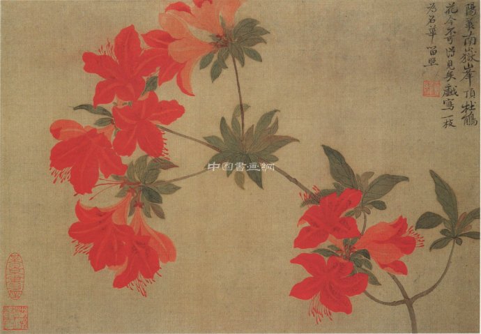 清 惲壽平花鳥作品賞析(二)