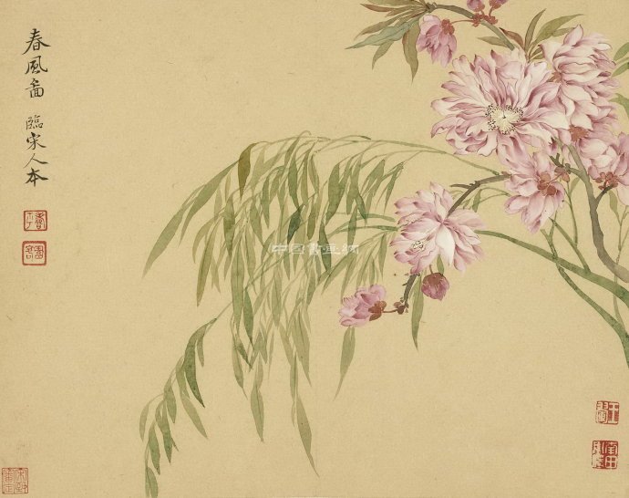 清 惲壽平花鳥作品賞析(二)