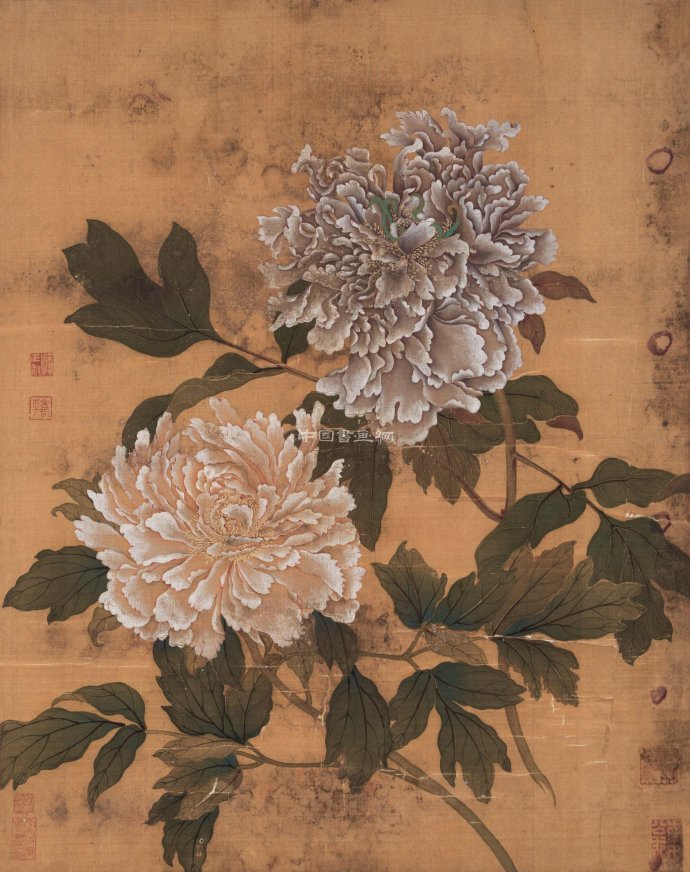 清 惲壽平花鳥作品賞析(三)