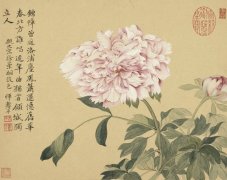 清 惲壽平花鳥作品賞析（四）