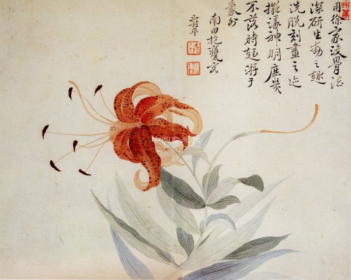 清 惲壽平花鳥作品賞析(四)