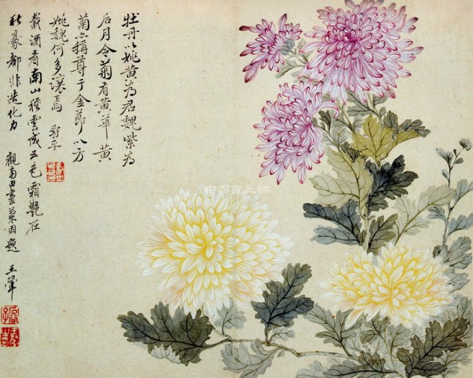 清 惲壽平花鳥作品賞析(四)