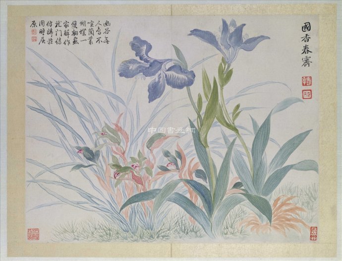 清 惲壽平花鳥作品賞析(四)