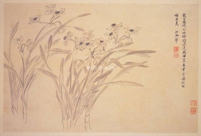 清 惲壽平花鳥作品賞析(五)