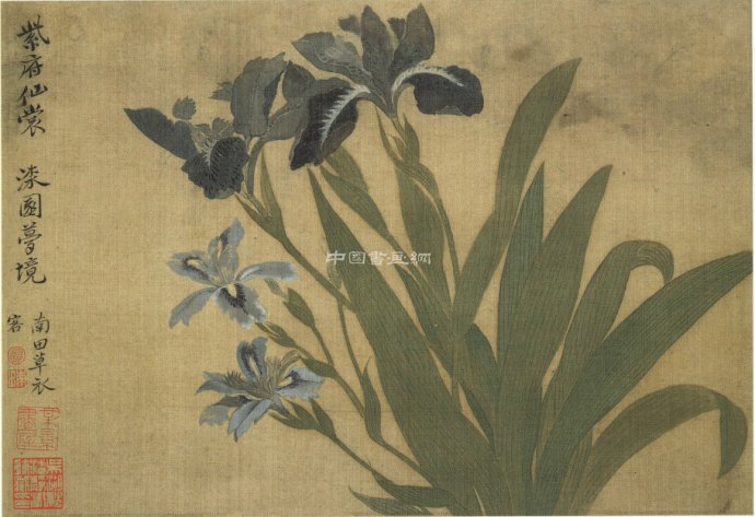 清 惲壽平花鳥作品賞析(五)