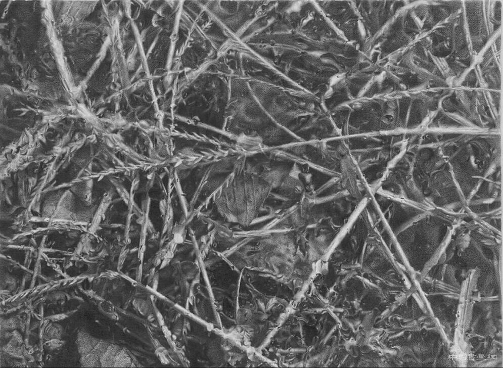 “100零一天”完美呈現,“青年藝術100·德必WE”盛大開幕