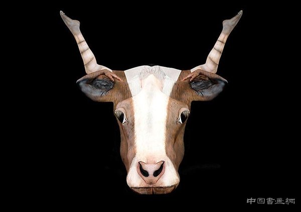 藝術家全裸扮十二星座：效果驚艷！