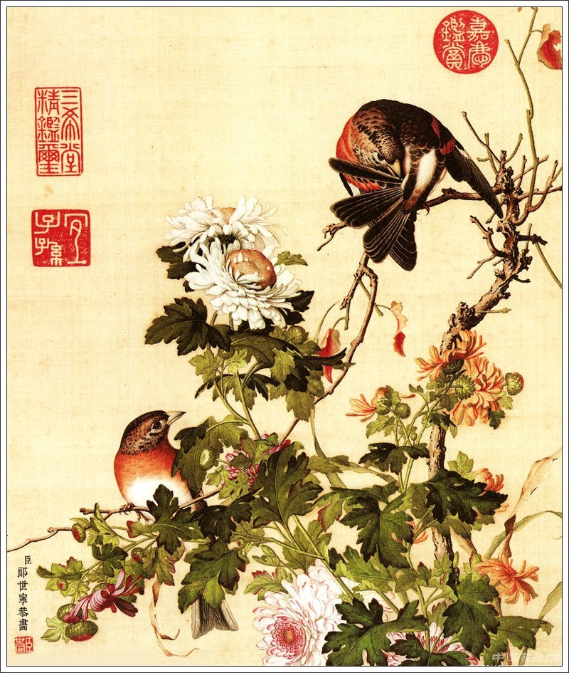 郎世寧花鳥作品賞析(一)
