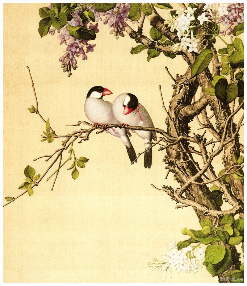 郎世寧花鳥作品賞析(二)