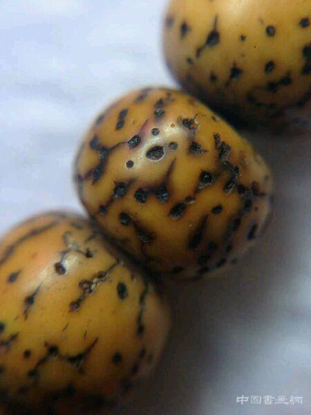 星月菩提的自然開片與做舊贗品對比圖