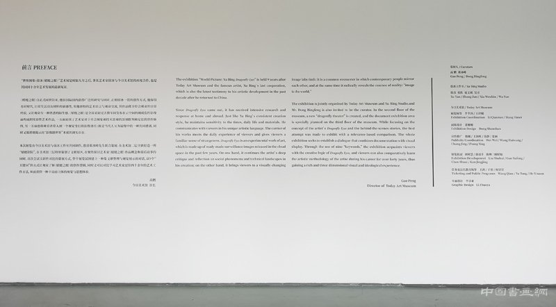 徐冰：用“蜻蜓之眼”展開“世界圖像”