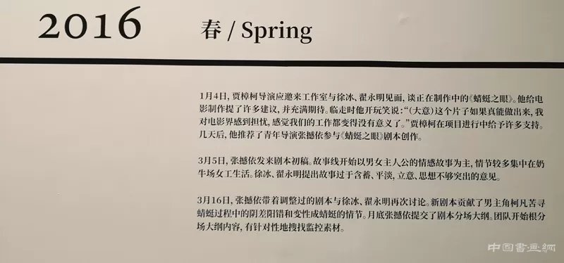 徐冰：用“蜻蜓之眼”展開“世界圖像”