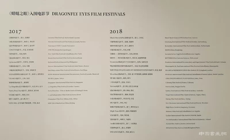 徐冰：用“蜻蜓之眼”展開“世界圖像”