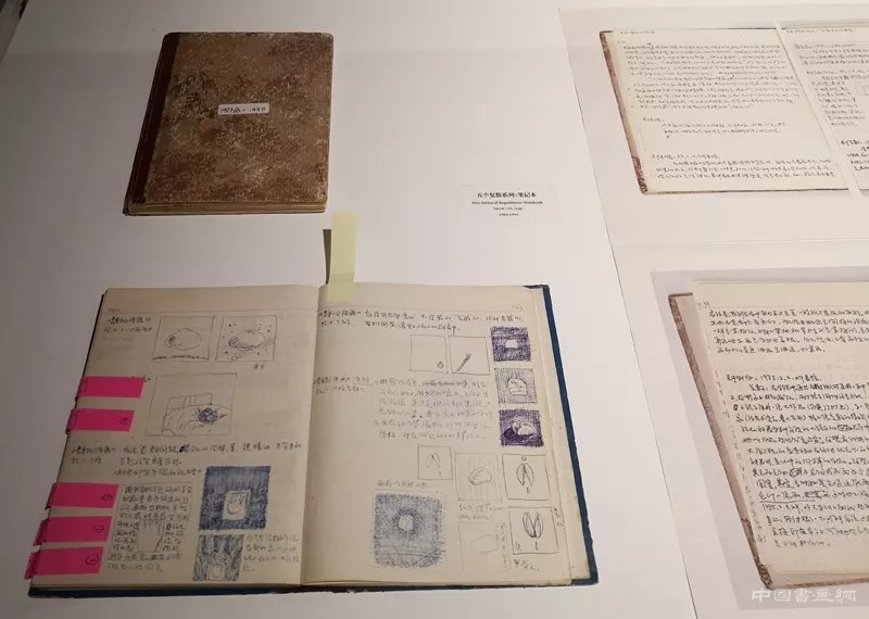 徐冰：用“蜻蜓之眼”展開“世界圖像”