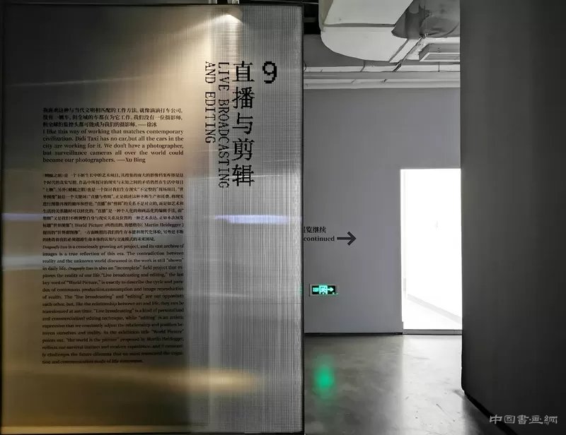 徐冰：用“蜻蜓之眼”展開“世界圖像”