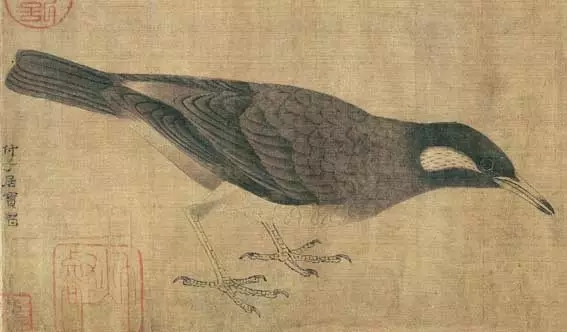 五代黃荃的極品珍禽高清圖