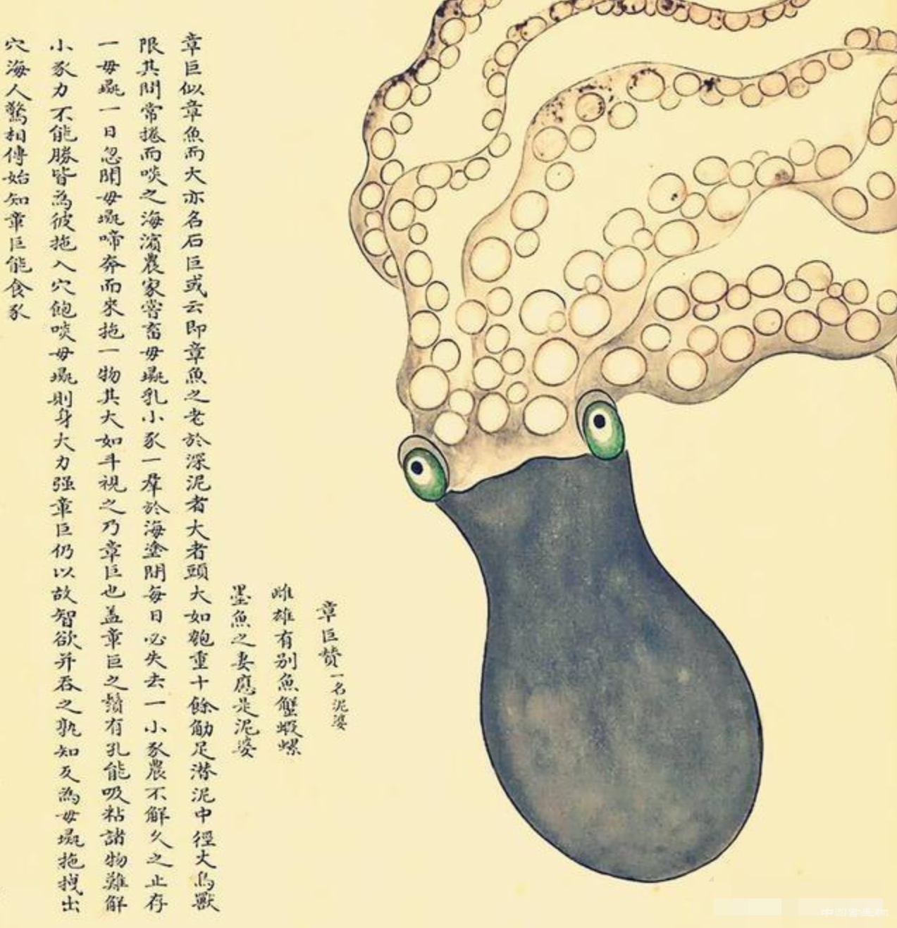 康熙年間的一本奇書,里面有300多種“怪物”,越看越可怕