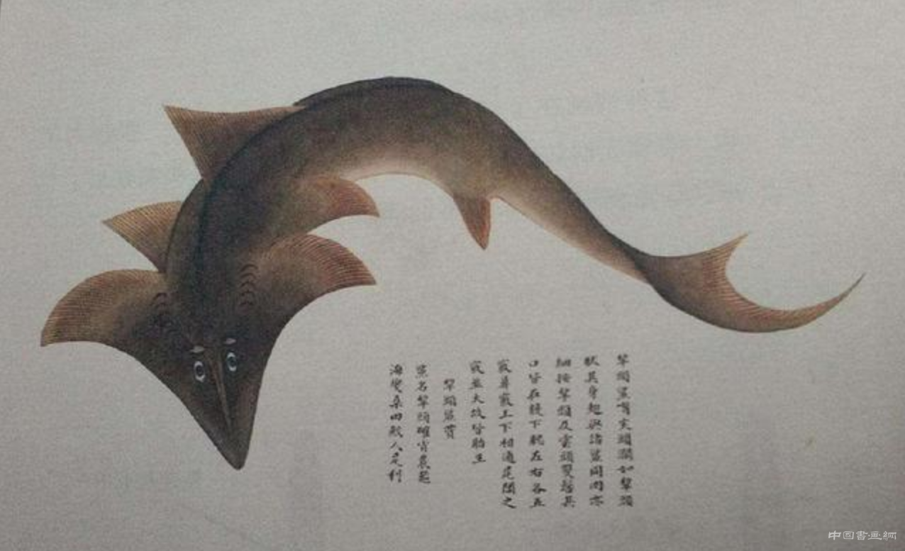 康熙年間的一本奇書,里面有300多種“怪物”,越看越可怕