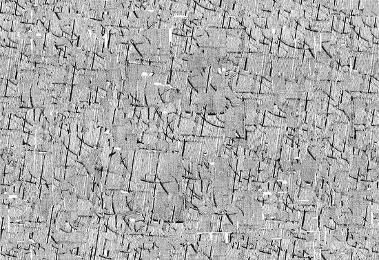 秘境:2020中國(guó)當(dāng)代藝術(shù)家提名展