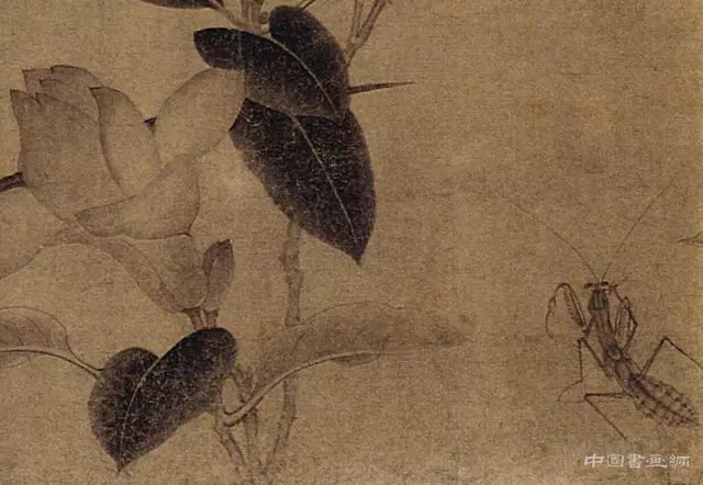 中國畫里的“草蟲”