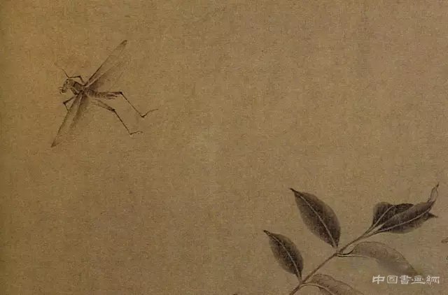 中國畫里的“草蟲”