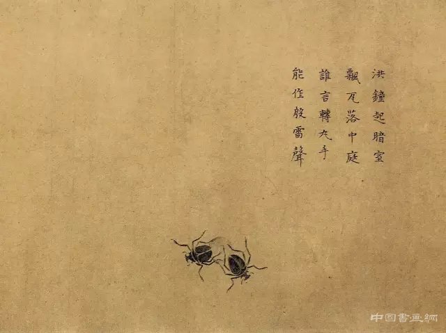 中國畫里的“草蟲”