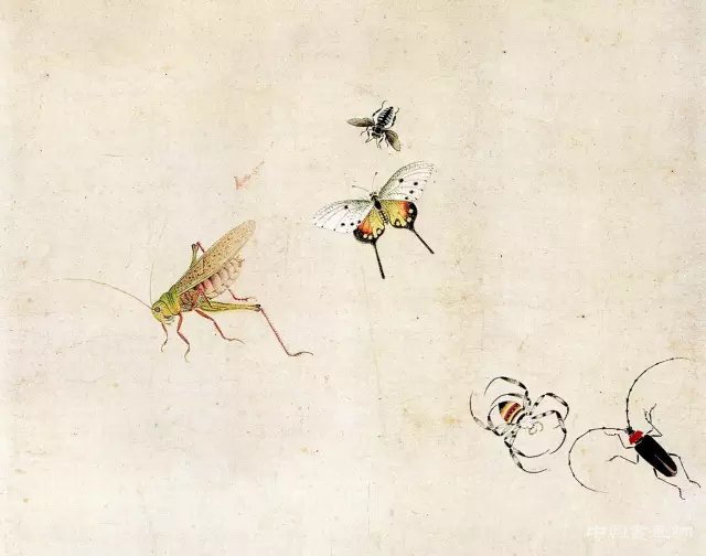 中國畫里的“草蟲”
